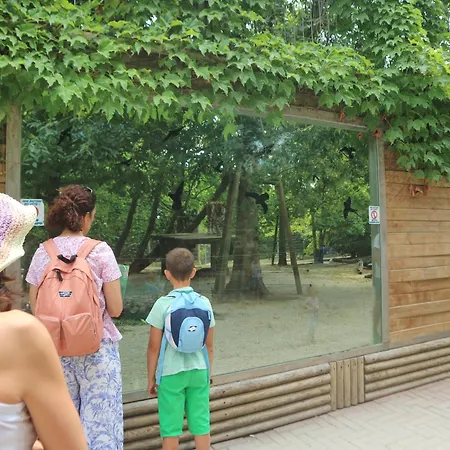 Apartmán Letizia Lignano Sabbiadoro