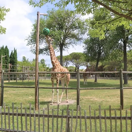 アパート Letizia